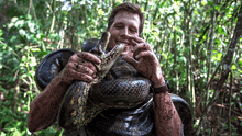 ¿Cómo es la anaconda verde, la serpiente más grande del mundo hallada muerta en el Amazonas?