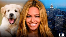 La histórica ciudad de Estados Unidos donde hay más mascotas que niños, y viven Beyoncé y Madonna