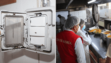 Arequipa: Contraloría detecta presencia de cucarachas en cocina de hospital Honorio Delgado
