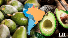 El país de Sudamérica que exporta más palta y está en el top 3 del mundo: no es Chile ni Colombia