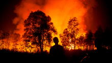 Incendios forestales en Venezuela: NASA muestra la magnitud de los siniestros