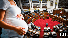Congreso promulga ley antiderechos que dificulta el acceso al aborto terapéutico