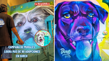 Iniciativa de ONG Buena causa logró más de 90 adopciones de mascotas en Surco con campaña de murales