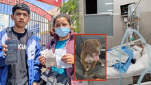 Trujillo: padre de familia queda en coma luego de ser atacado por perros pitbull