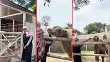 Parque de las Leyendas: hombre se viste de árabe y cruza vallas de seguridad para molestar a camellos