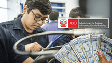 Esta es la carrera técnica más demandada en Perú este 2024, según MTPE: sueldo supera los S/3.500 al mes