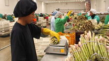 Las agroexportaciones peruanas crecerían 3,2% este 2024, según Adex