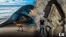 Descubren fósil del reptil marino más grande del mundo en Inglaterra gracias a niña de 11 años