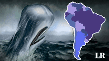 Conoce a la misteriosa ballena que inspiró Moby Dick y está en Sudamérica