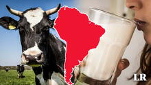 Descubre cuál es el país de Sudamérica que se ubica en el top 5 mundial en consumo de leche