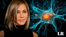 Neurona 'Jennifer Aniston': ¿por qué un científico argentino nombró así a una célula nerviosa?