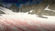 Conoce la nieve de sandía, un raro fenómeno que tiñe de rosado las montañas de Estados Unidos