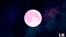 Luna Rosa 2024: así se vio el último fenómeno astronómico en Estados Unidos