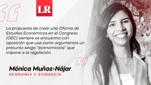 ¿Cuáles son las trabas para mejorar la calidad de nuestras leyes?, Mónica Muñoz Nájar