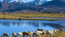 Huancavelica: denuncian grave contaminación de laguna Choclococha por parte de empresa extranjera
