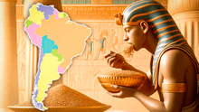 Conoce el cereal más antiguo del mundo, el preferido por los faraones, es cultivado en 6 de países de Sudamérica