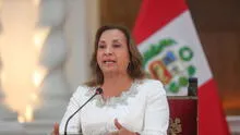 Dina Boluarte: TC declaró fundada ley que permite despachar de manera remota a la presidenta