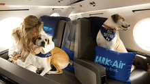 La buena noticia para los amantes de los perros: lanzan la primera aerolínea pet-friendly