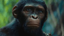 ‘El planeta de los simios: nuevo reino’: ¿cómo se llama el hijo de César?