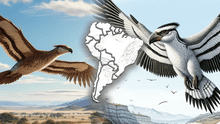 Las aves prehistóricas MÁS GRANDES DEL MUNDO nacieron en Sudamérica y vivieron por 6 millones de años