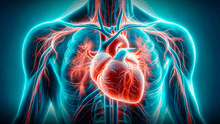 ¡Atención! Médicos reconocen nuevo órgano en el cuerpo humano: está cerca al corazón