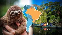 Explora los 5 países con mayor biodiversidad en Sudamérica y el mundo