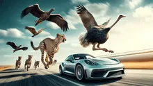 El animal más veloz del mundo vive en América y puede ir más rápido que un Porsche y Ferrari