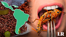 El país que consume más insectos en Latinoamérica y es top 3 en el mundo: comen gusanos, moscos y hormigas