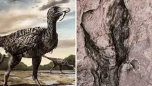 Paleontólogos de China hallan enormes huellas de un dinosaurio de hace 96 millones de años