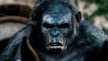 ¿‘El planeta de los simios: nuevo reino’ es un fracaso en la TAQUILLA? aquí los primeros números