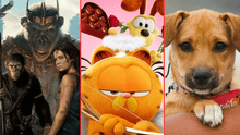 'El planeta de los simios' y 'Garfield: fuera de casa' SUPERAN a 'Vaguito', película nacional, en taquilla