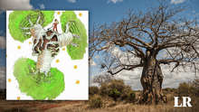El misterioso origen de los baobabs: el 'árbol de la vida' que sale en el cuento El Principito