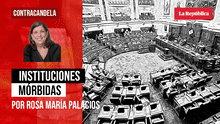 Instituciones mórbidas, Rosa María Palacios