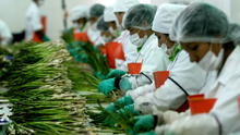 Agroindustria rompió recórds de empleo: 383.384 puestos creados en el primer trimestre