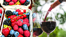 Científicos analizan al vino como posible superalimento: el fruto clave se cultiva en Sudamérica