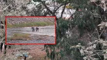 Ate: vecinos encuentran cuerpo de un hombre en el río Rímac