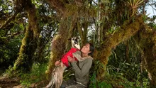 La heroína de los Andes: bióloga peruana y su perrita rescatan osos andinos en la selva de Perú y Costa Rica