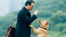Descubre la historia real del perro que inspiró la película ‘Hachiko 2: una historia verdadera’
