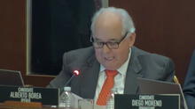 Panel de expertos analizó candidatura de Alberto Borea como juez de la Corte IDH ante la OEA