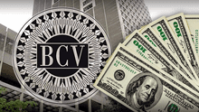 Dólar BCV 1 de junio 2024: valor oficial, según Banco Central de Venezuela