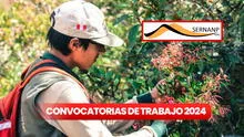 Conoce las oportunidades laborales en Sernanp 2024: entidad ofrece trabajo con sueldos de hasta S/8.000