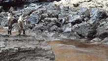 Llamado a la acción en el Día Mundial del Ambiente, por Isabel Calle