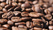 Picos históricos del cacao y café globales impulsaron 16% las exportaciones amazónicas del Perú