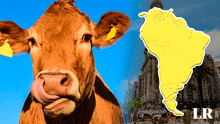 Este es el ÚNICO país de Sudamérica que tiene más vacas que habitantes: aproximadamente 4 por persona