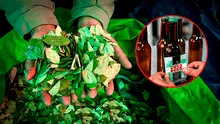 "Coca beer": Bolivia crea una cerveza a base de una planta medicinal y cargada de energía