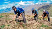 Revisa lo último que se muestra sobre si es feriado el 24 de junio por el Día del Campesino