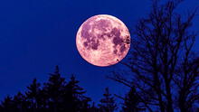 ¿Por qué la luna de fresa recibe ese nombre?: así podrás ver este fascinante evento astronómico