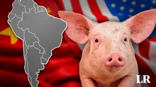 El país de Sudamérica que produce más carne de cerdo y la exporta principalmente a Estados Unidos y China