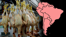 Este país de Sudamérica consume más pollo en el mundo: supera a Perú y Argentina