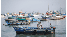 Pescadores artesanales exigen al Poder Judicial que Produce cumpla con emitir reglamento de Ley 31749